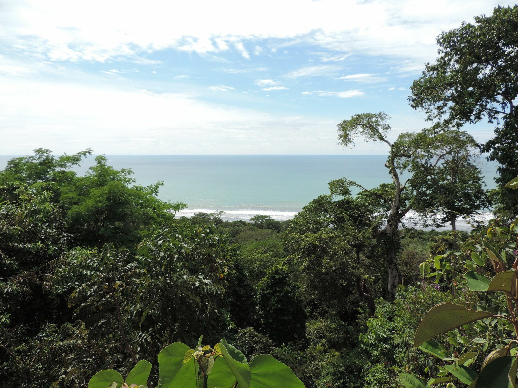 Ranchos Remo Lodge Uvita Esterno foto